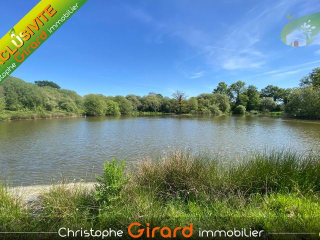 TERRAIN ETANG A VENDRE A VIGNOC 35630 30 825 m2