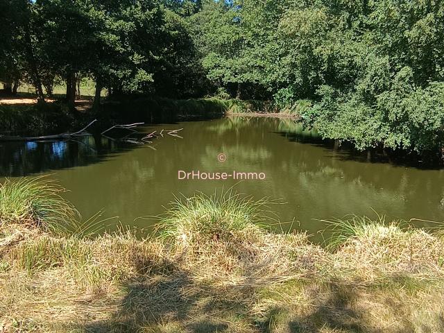 Terrain Etang