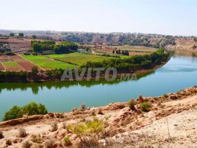Terrain exceptionnel 2ha vue sur Oued Oum errabii