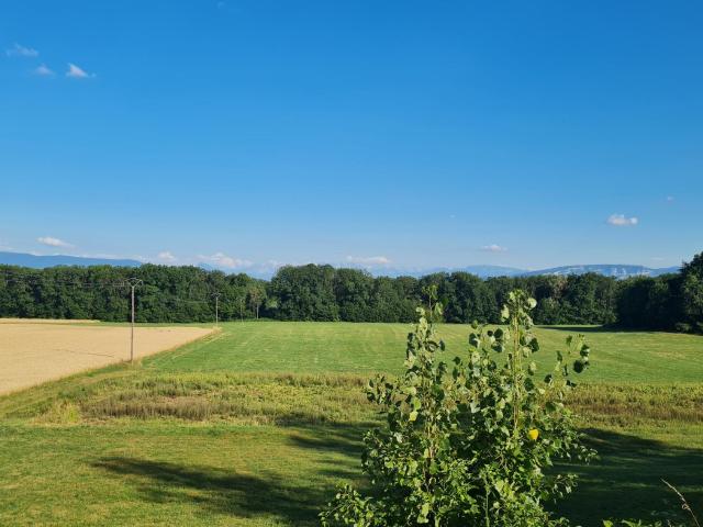 TERRAIN EXCEPTIONNEL À CESSY TUTEGNY VUE MONT BLANC 1650 M2 DONT 1004 M2 CONSTRUCTIBLE CÔTÉ DIVONNE
