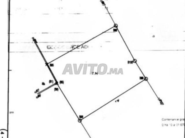 Terrain exclusif à ain diab extension 1003 m²