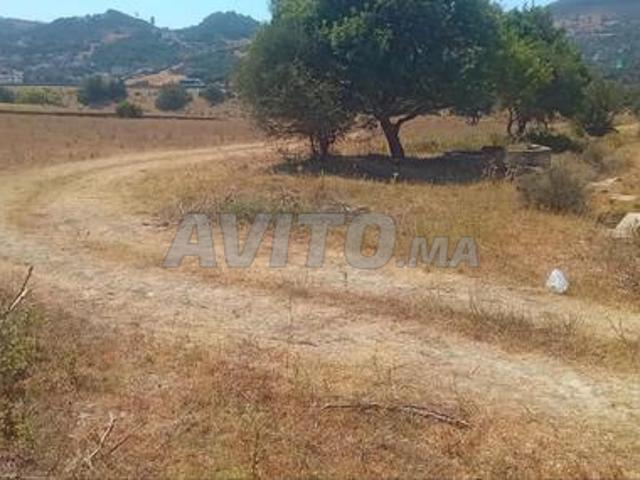 Terrain en location pour usage depot