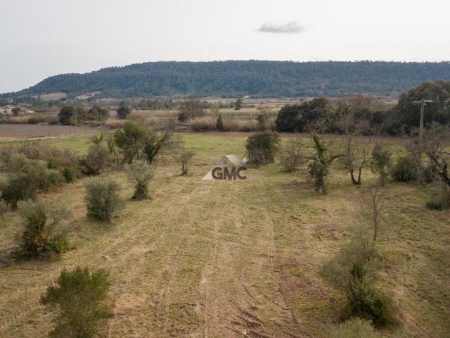 Terrain en lotissement