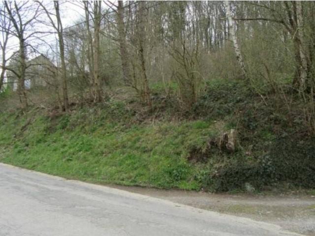 Terrain en Vente à Assesse