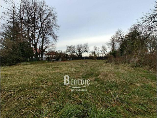 Terrain en Vente à Boulay Moselle