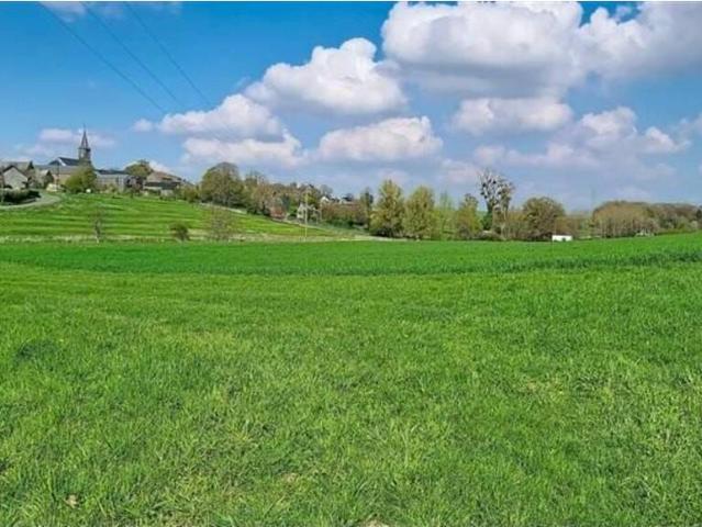 Terrain en Vente à Havelange