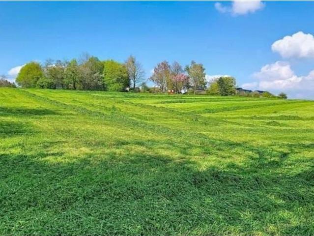Terrain en Vente à Havelange