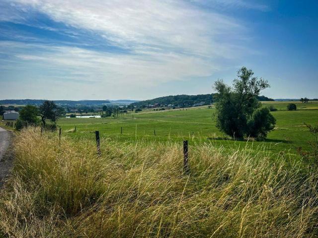 Terrain en Vente à Hettange Grande