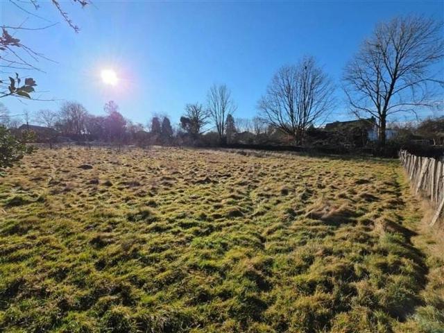 Terrain en Vente à Jalhay