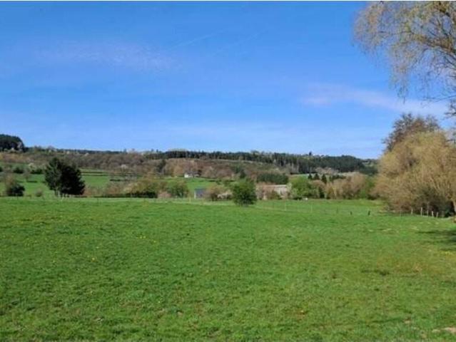 Terrain en Vente à Rendeux