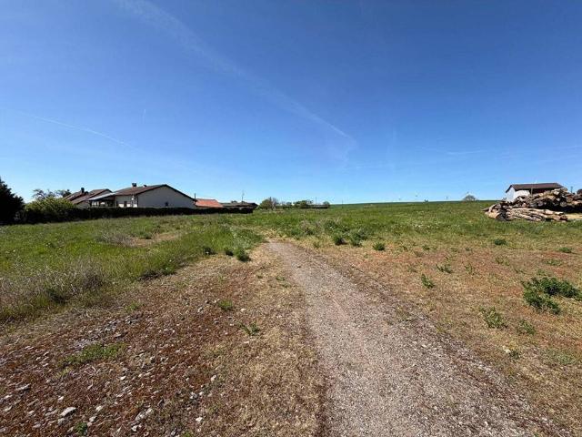 Terrain en Vente à Waldwisse