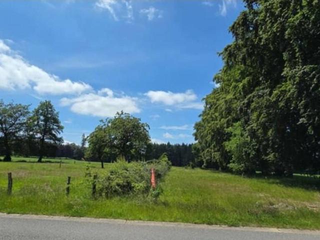 Terrain en Vente à Vielsalm
