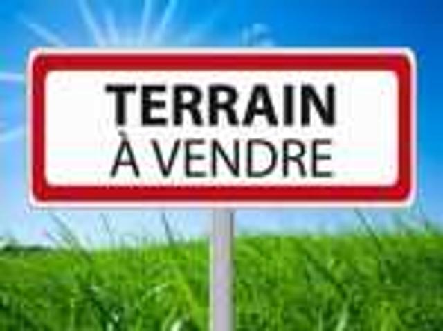 Terrain En Zone Immeuble A PALMIER