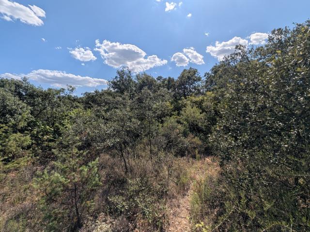 Terrain en zone naturelle N de 1024m2