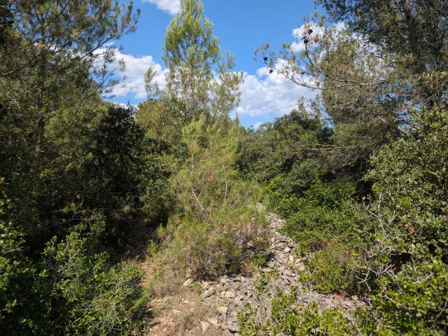 Terrain en zone naturelle N de 2584m2
