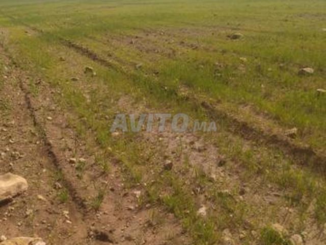 Terrain enregistré sur la route de L'Arbaa Ouled à un prix raisonnable