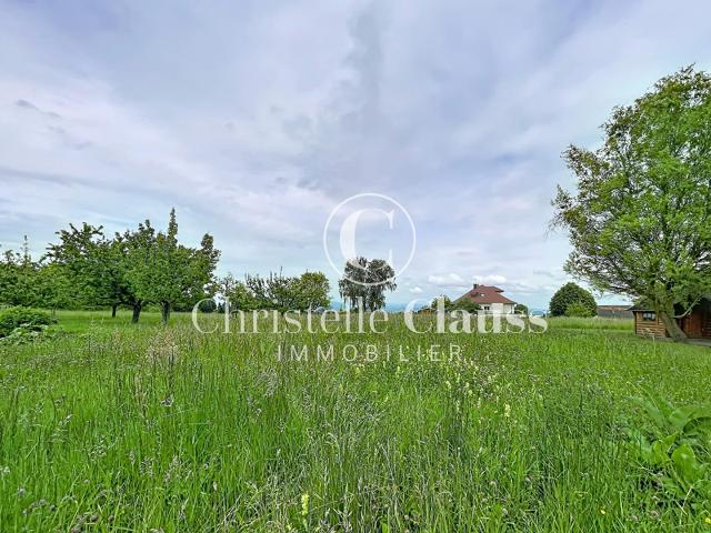 Terrain Folgensbourg 585 m2