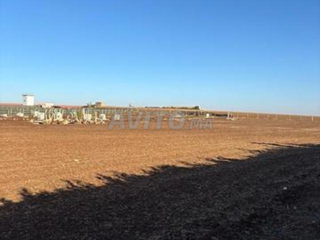 Terrain foncier 1 ha 2700 m² Moualine El Ouad