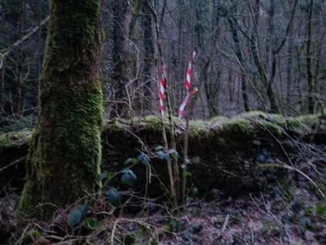 Terrain forestier – 6 175 m² – Granges de Vaivre Mouchard Jura