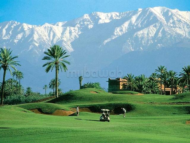 Terrain Front Golf Amelkis 2