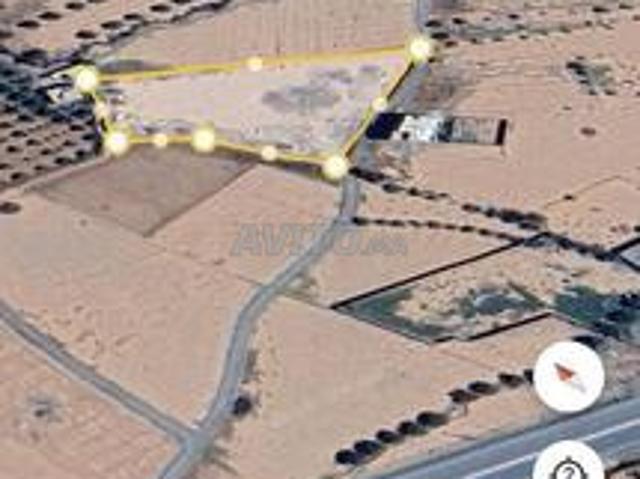 Terrain Hamza