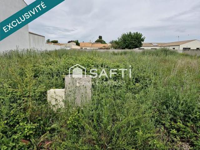 terrain haut de gamme