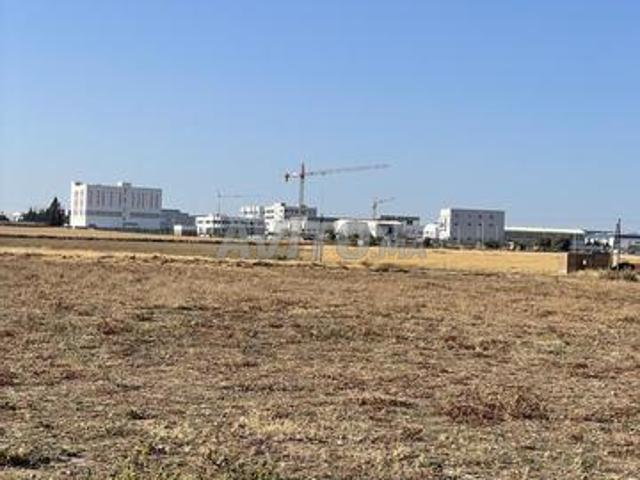 Terrain industriel 28000m2