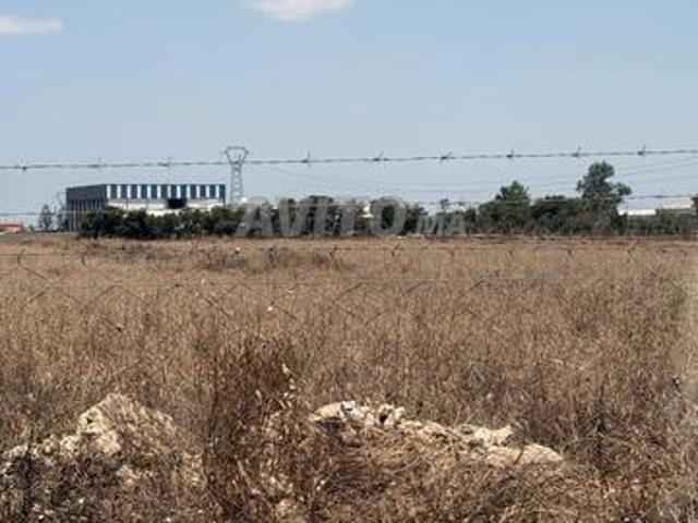 Terrain industriel i2 bouskoura victoria 28000m2
