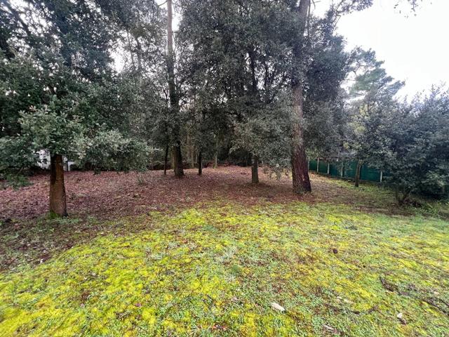 Terrain Jard Sur Mer 778 m2