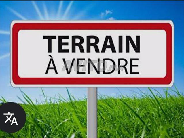 Terrain khabazat