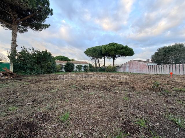 Terrain LE BOIS PLAGE EN RE 17580