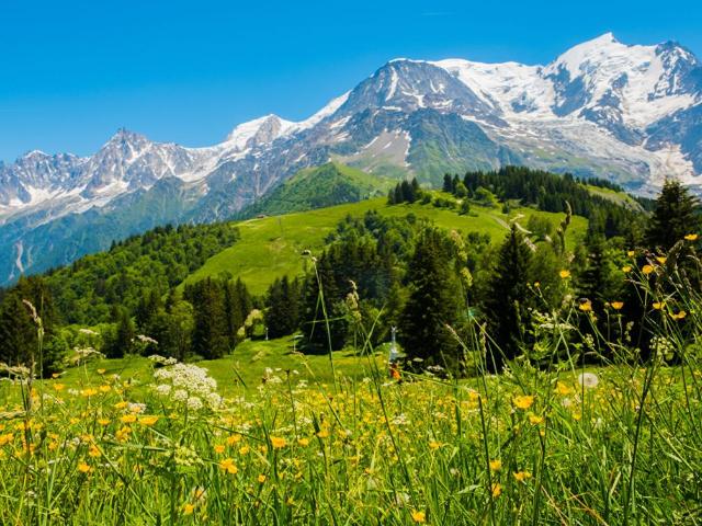 Terrain Les Cluses 831 m2