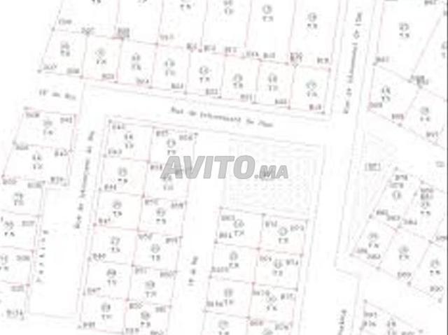 Terrain lotissement El Ouaha quartier Ech Cherf