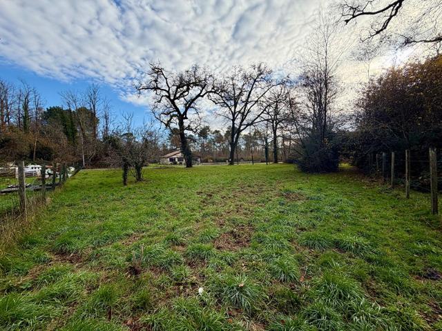Terrain Louchats 1163 m2