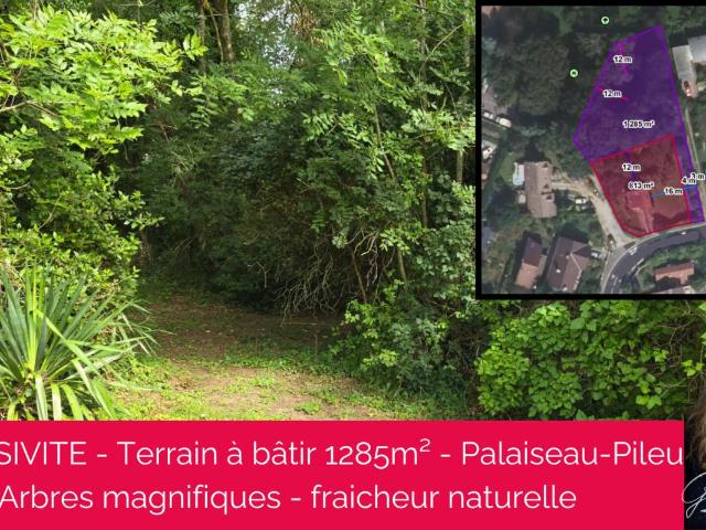 Terrain Palaiseau 1285 m2