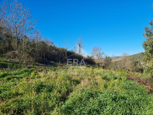 Terrain Pieusse 1050 m2