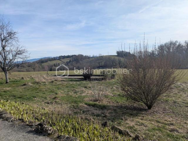 Terrain Plat 1007m2