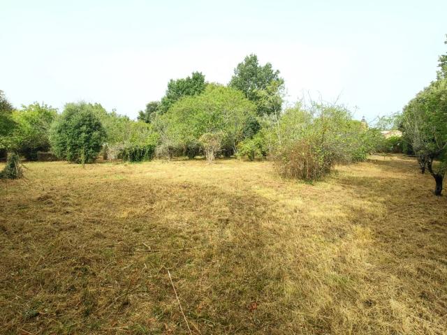 terrain plat constructible et arboré sur la commune de Vénès