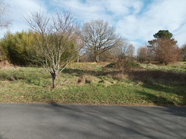 Terrain plat à bâtir