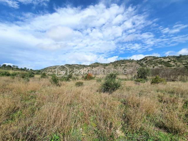 TERRAIN PLAT DE 4760M² SUR L'AXE CASES DE PENE / ESTAGEL AU BORD DE L'AGLY