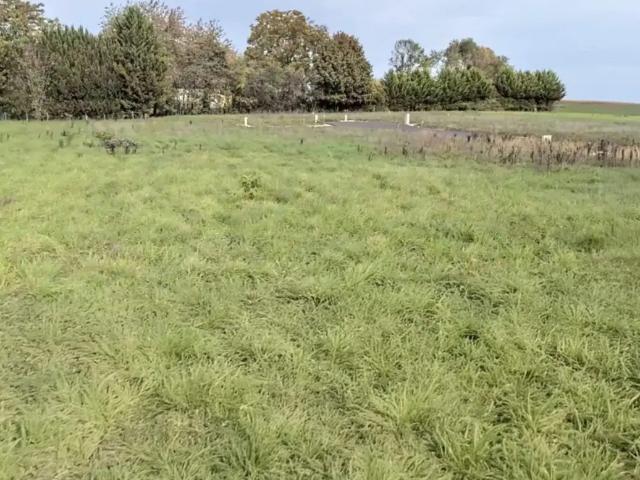 Terrain plat de 705 m², situé dans un quartier calme et agréable