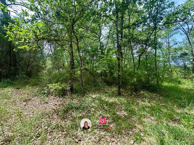 Terrain plat de 7530 m2