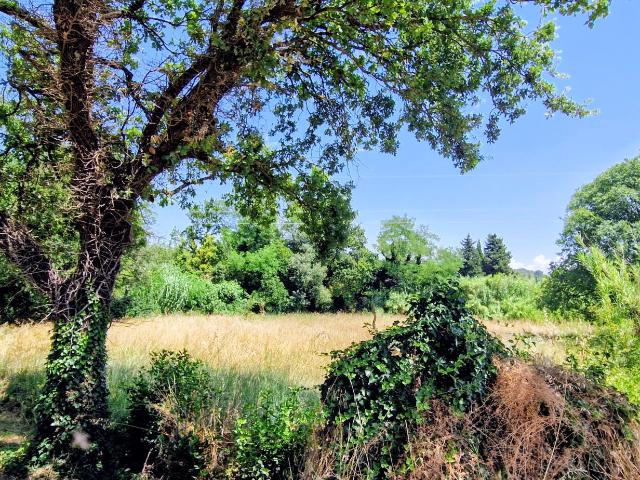 terrain plat et constructible 2135 m2 84500 bollene