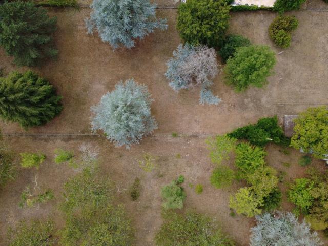 Terrain plat et arboré