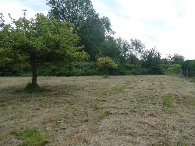Terrain Pont L Eveque, 3 terrains viabilisés 1133 m², 1051 m² et