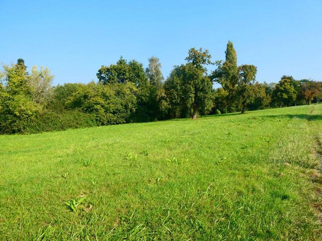 Terrain Pont L Eveque à bâtir à 5 kms, campagne hors lotissement