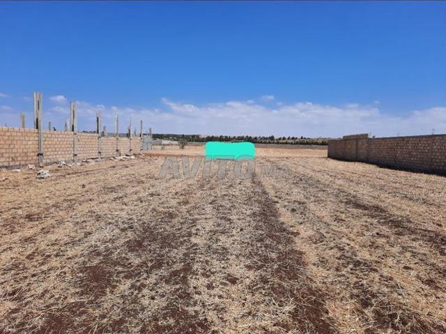 Terrain Pour Construction Ferme