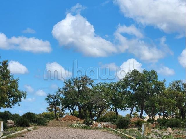 Terrain pour construction villa à Benslimane
