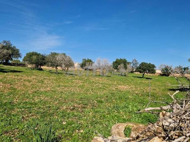Terrain exceptionnel 7500 m² – 5 min de Sidi Rahal