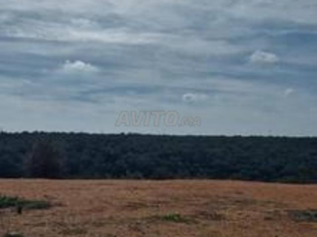 Terrain pour villa 4 façades à vendre